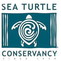 Sea Turtle Conservancy