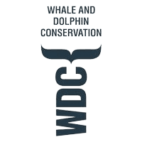 Whale and Dolphin Conservation